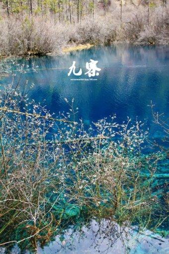 5月15日凌晨战韩国队
