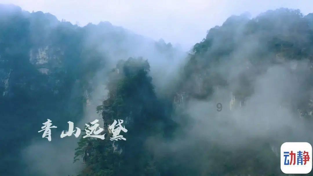 代理枪手