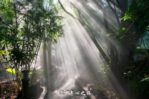 东湖评论：筑梦新时代 争做好少年