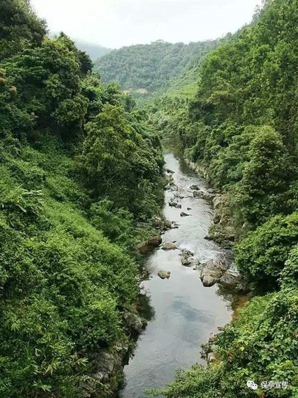 男子潜入小区放爆炸物保安被炸伤,温州警方:嫌疑人与住户有纠纷