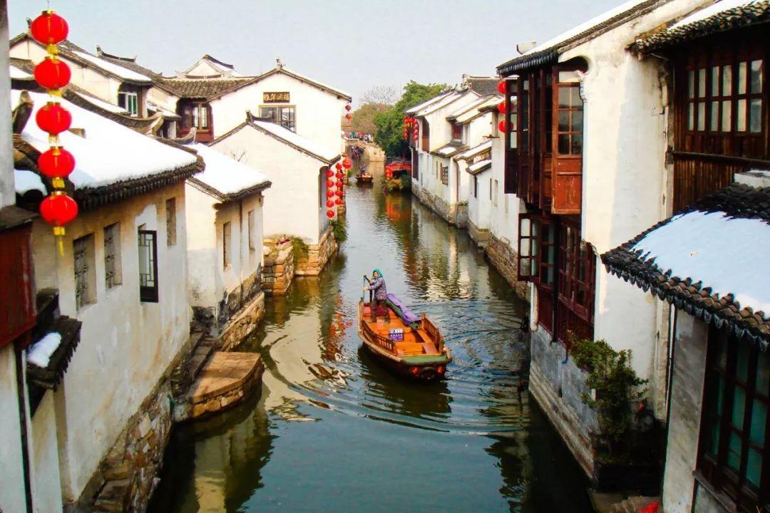逃离大犀牛出没地