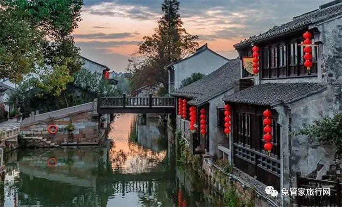 救援淘气的小狗