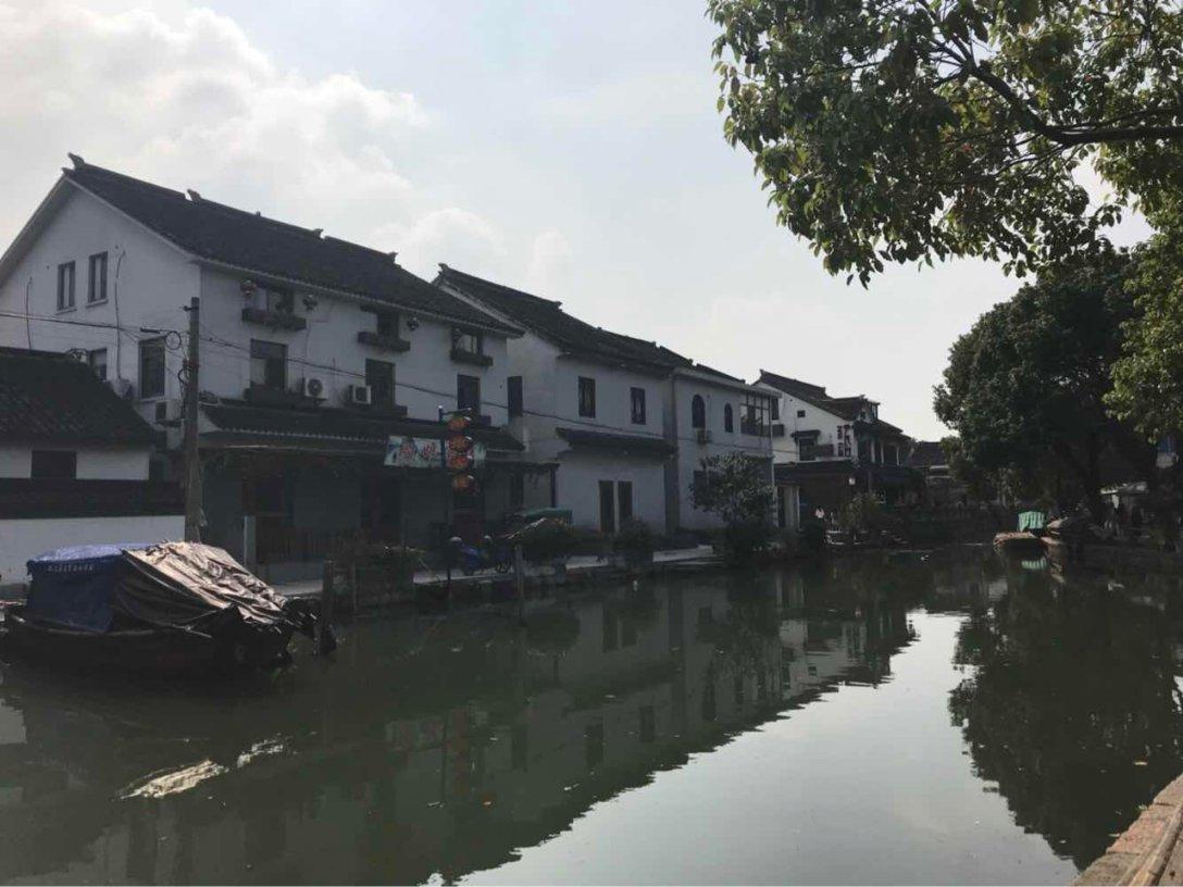 动物帮帮忙保卫家园